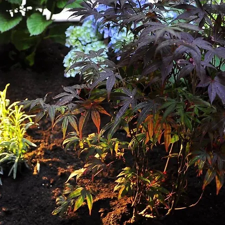 Triple In The Center