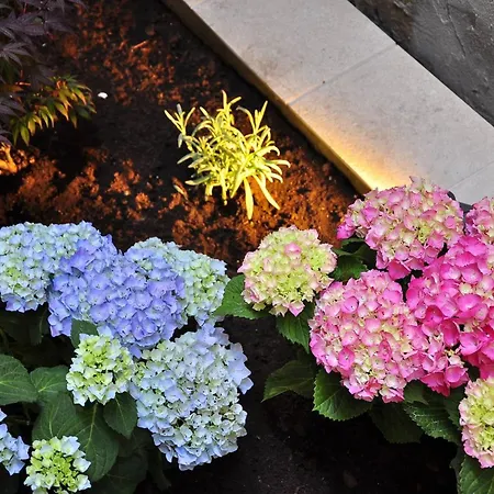 Triple In The Center Split