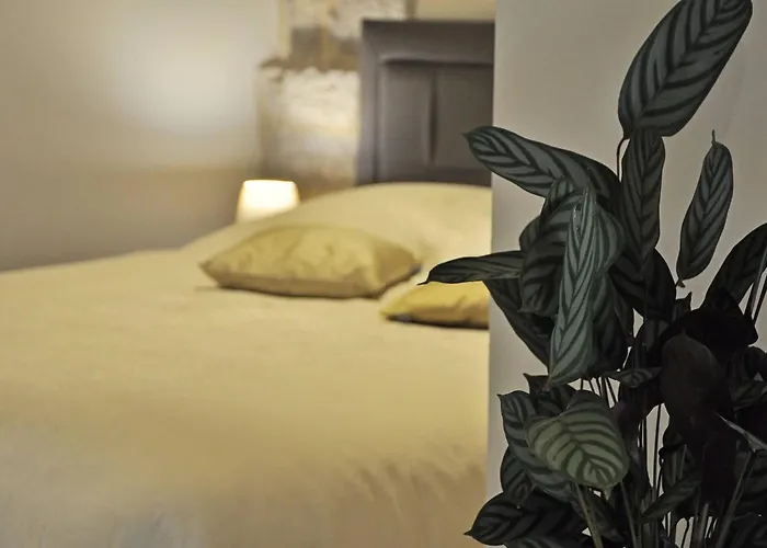 Triple In The Center * Сплит