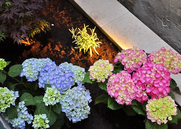 Triple In The Center Сплит