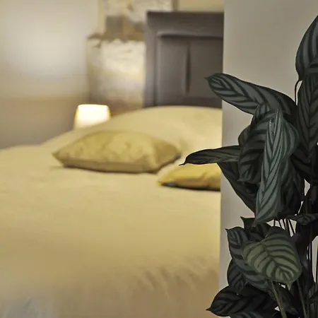 Triple In The Center * 스플리트